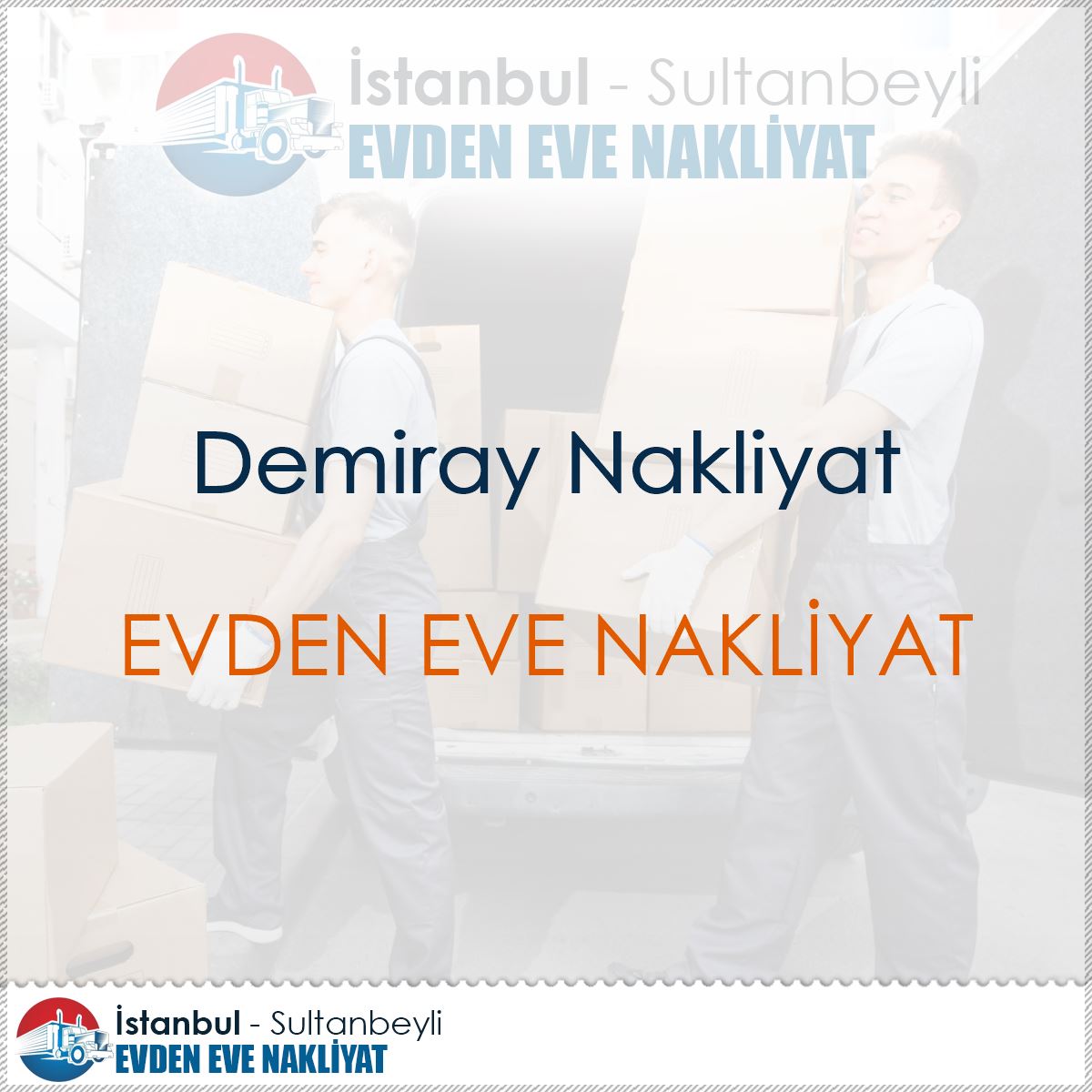 Demiray Nakliyat : Kapak Görseli