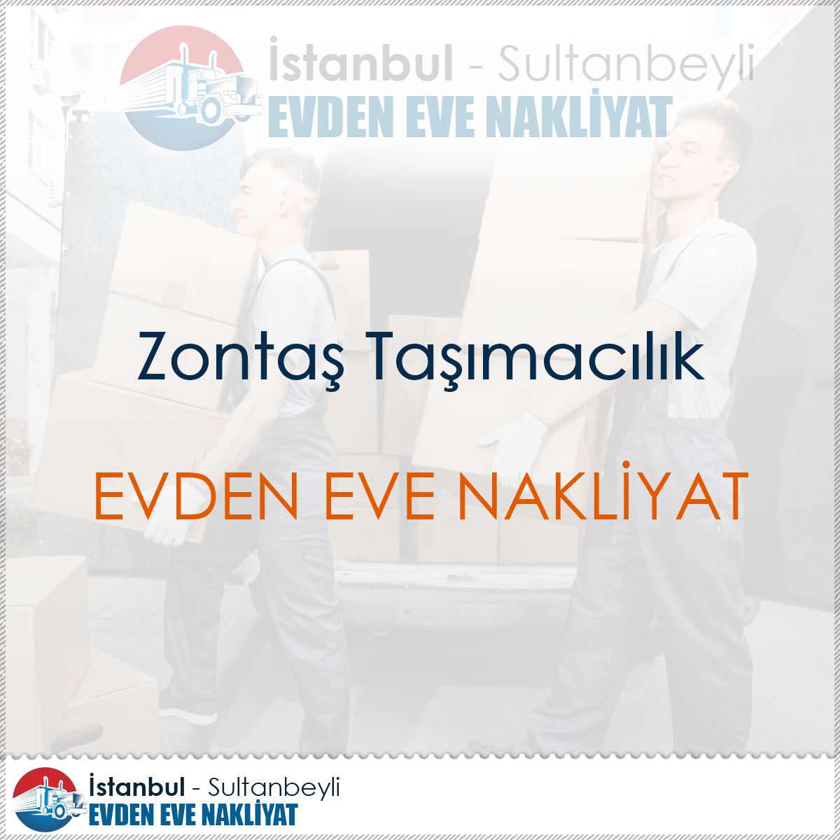 Zontaş Taşımacılık : Kapak Görseli